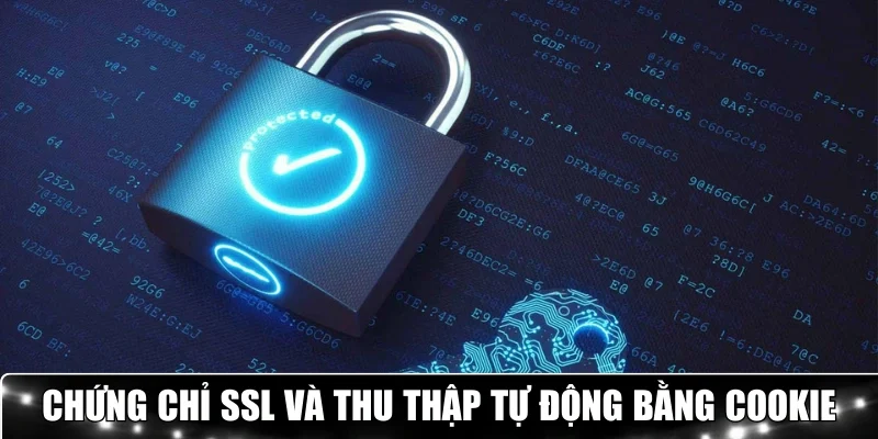 SSL và thu thập dữ liệu bằng công nghệ cookie